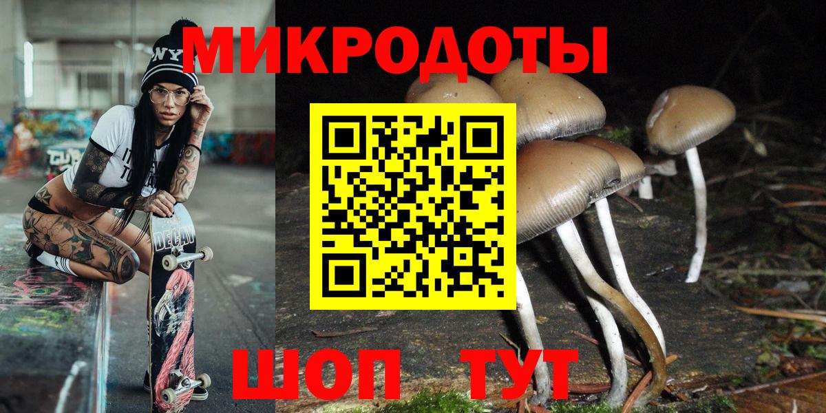 Сарапул  Псилоцибиновые грибы Psilocybine cubensis  Вход с VPN  Галлюциногенные грибы Psilocybe 