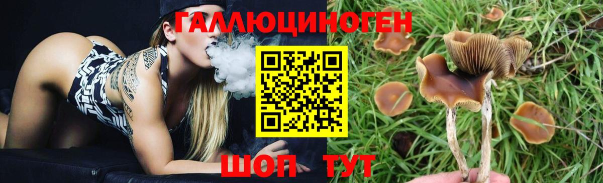 Псилоцибиновые грибы GOLDEN TEACHER Сарапул